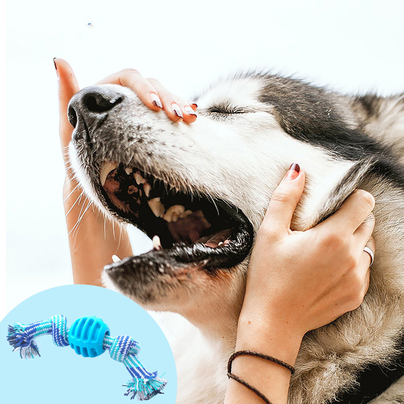 Wholesale hot sale pink blue pet tooth cleaning interactive toy durable TPR Cotton rope double knot ball pet chew toys for dogs