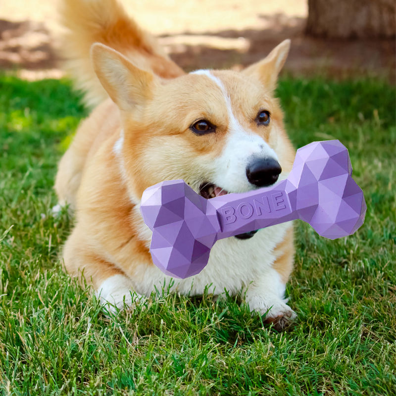 Bone Shape BPA-Free Rubber Pet Dog Chew Toy Peanut Butter Fillable Dog Chewing Toy for Aggressive Chewers