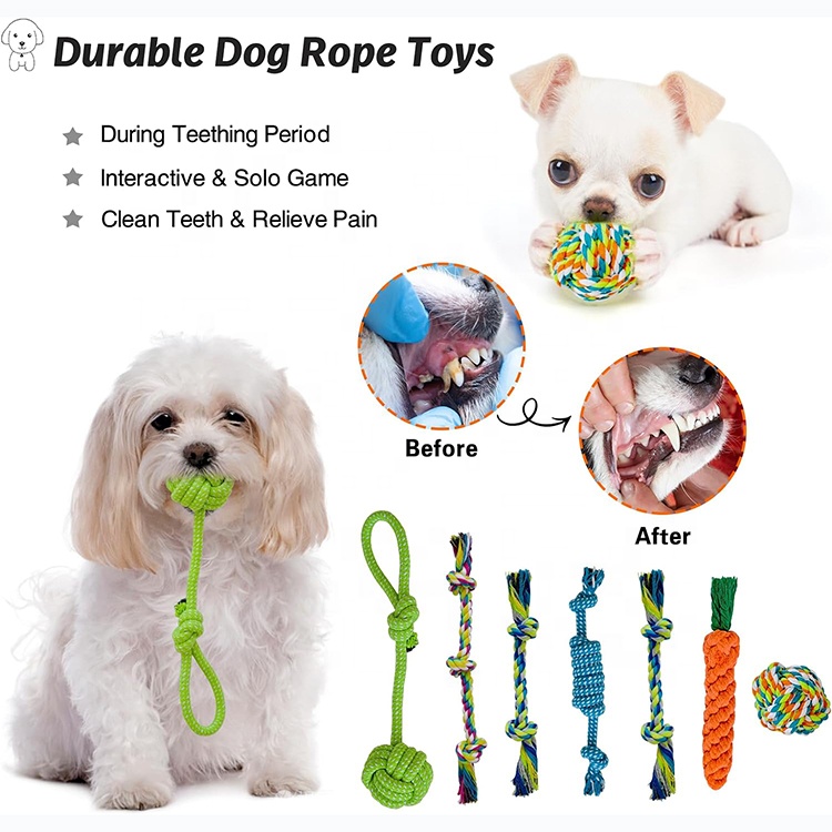 20 PCS Puppy Chew Toys Dog Accessories Pet Supplies Dog Plush Squeaky Toys With Basket