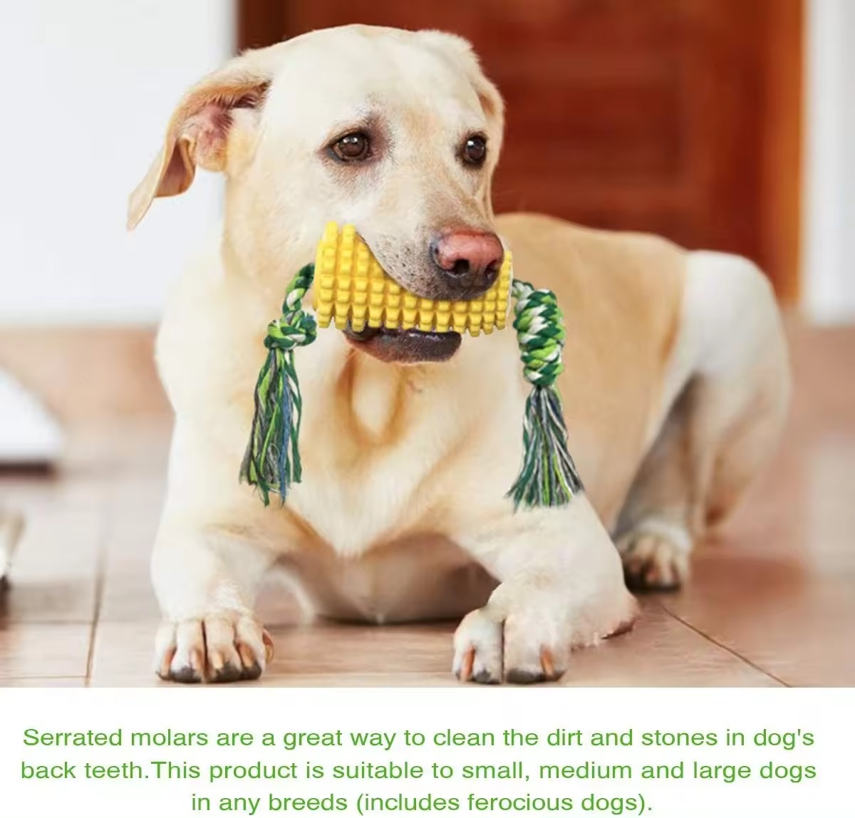 WholesaleHot Sale Durable Corn Shaped TPR Dog Toothbrush Teeth Cleaning Toys Pet Chew Squeaky Toy