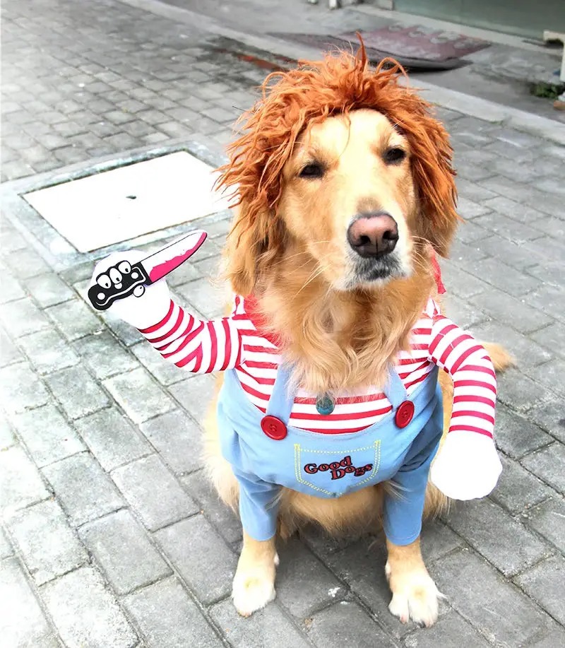 Halloween Dog Cat Clothes Funny Pet Costume Adjustable Dog Deadly Doll Cosplay Party Sets Novelty Clothing Fancy Festival Cloth