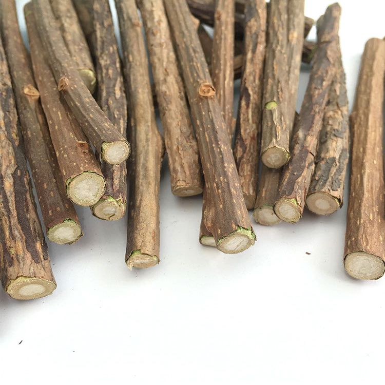 Hot sale dried actinidia polygama pet cat molar rod toy natural silvervine sticks