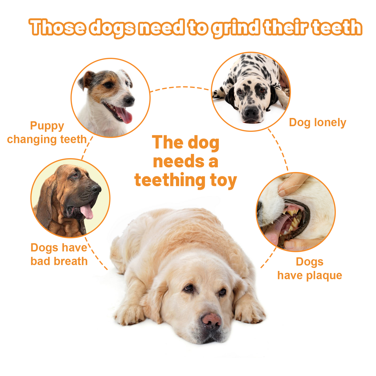 Hot Durable Winter Dog chew toy interactive rope ddp for aggresive chewers-dog chew toy/large