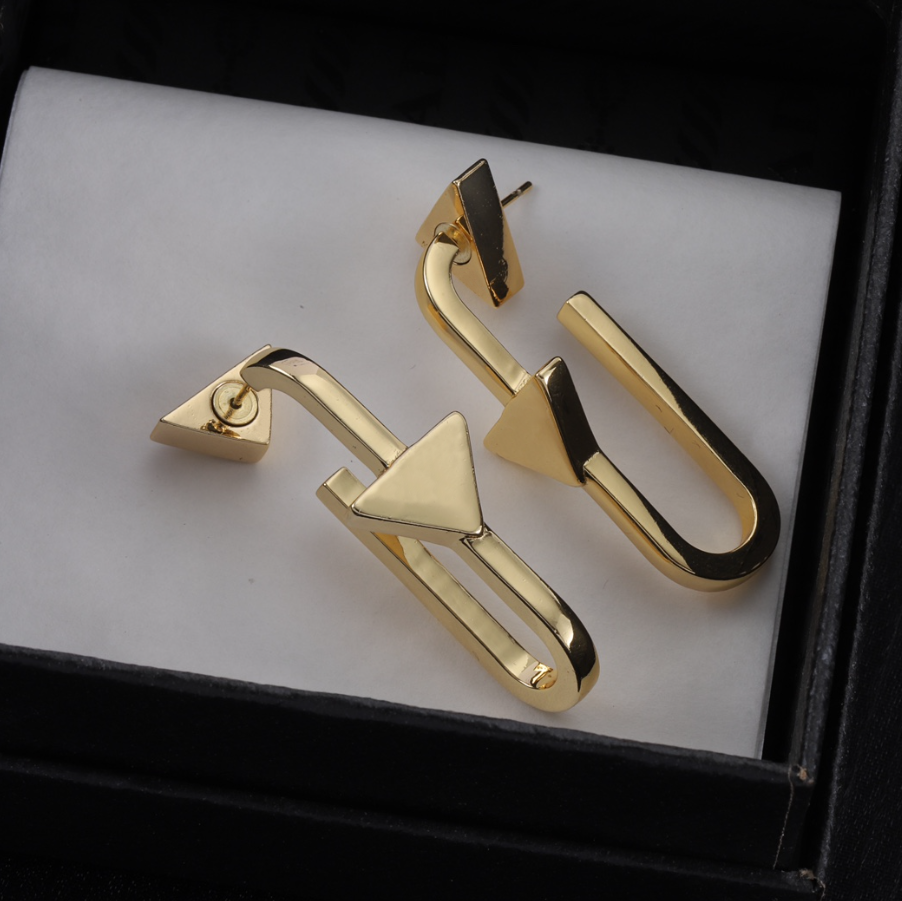 New Designer Huggie Hoop Earrings Fashion Eardrop 18K Gold Silver Plated Geometry Brass Earring Lovers Gifts for Women Men Wedding Party Jewelry