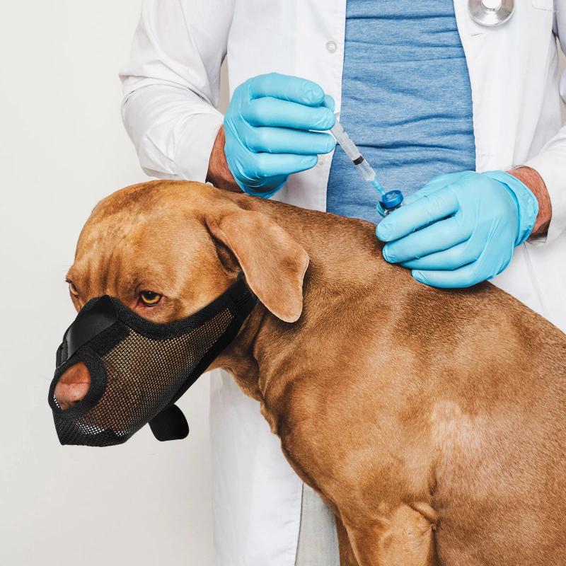 Dog Collars Mask Muzzles Mesh Soft To Prevent Biting Puppy For Medium Sized Pet Polyester