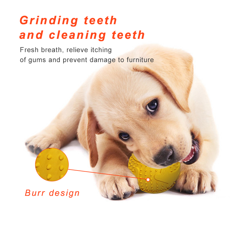 Thinkerpet Dog Toy Feeder Inspires Intelligence Bite Resistant Pet Treat Food Toy Chew Ball