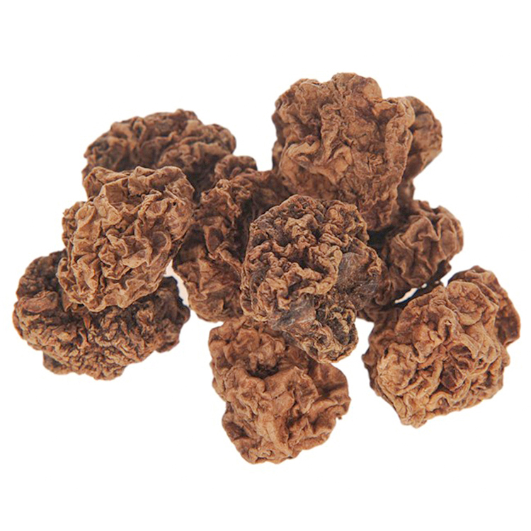 Cat Teething CleaningToys Optional Size Matatabi Actinidia Polygama Fruit for Cat Interactive Toy