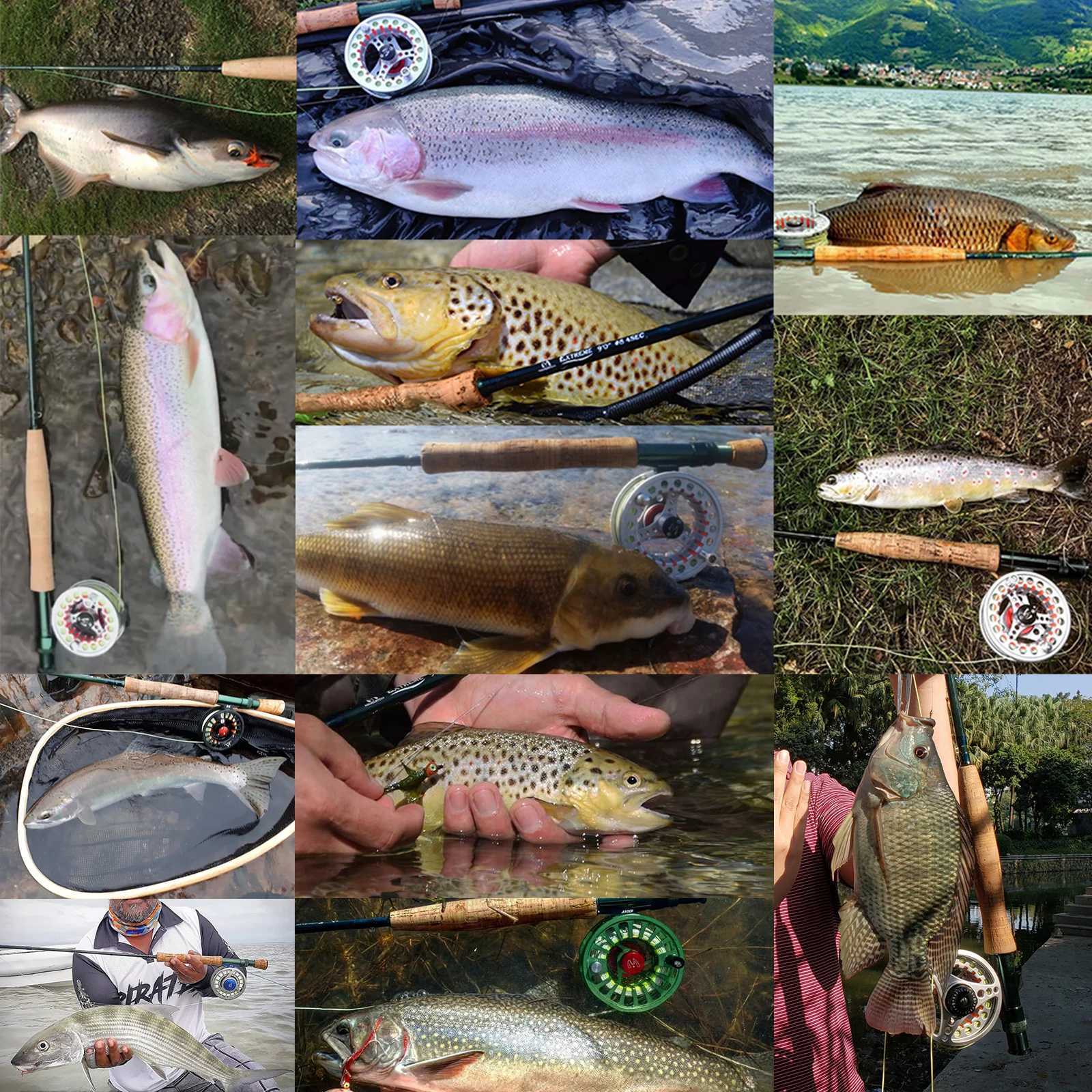 Maximumcatch 3-8WT fly fishing rod and reel combination kit 86 /9 with fast fly rod pre sporulation fly reel line and triple tube W241108