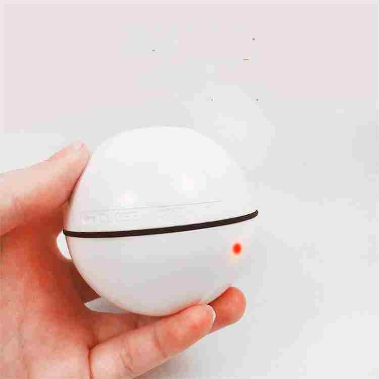 2019 cheapest eco friendly pet toy