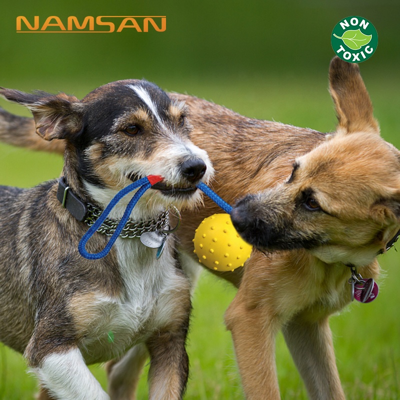 Pet Dog Training Ball Toys with Rope Naturel Rubber Ball Toy for Dog Tooth Clean Play Chew Exercise Toy