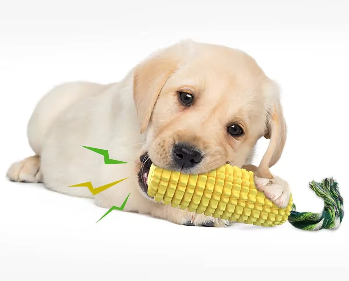 WholesaleHot Sale Durable Corn Shaped TPR Dog Toothbrush Teeth Cleaning Toys Pet Chew Squeaky Toy