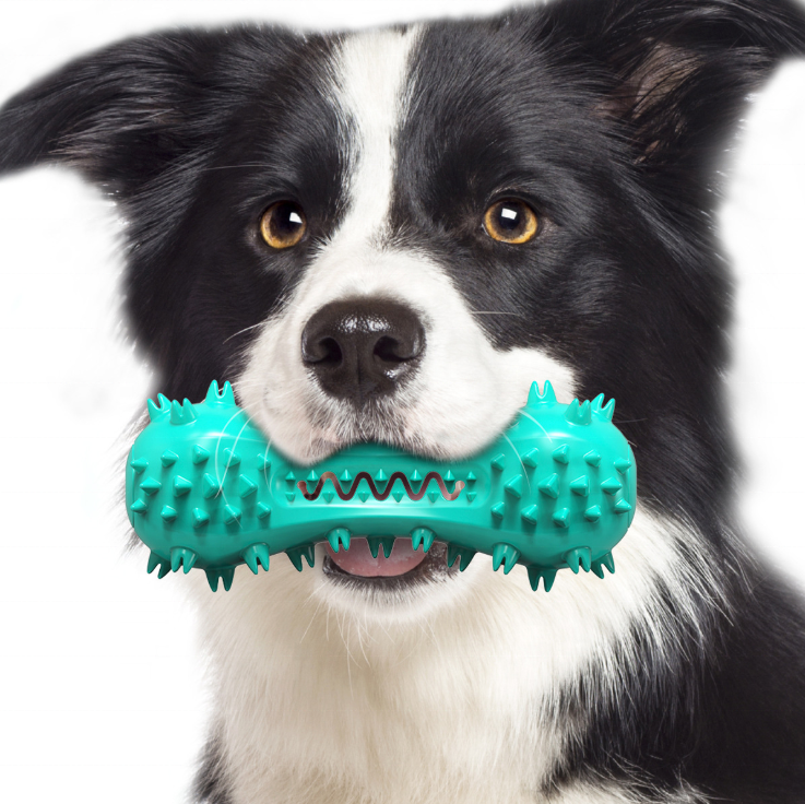 High Quality Squeaky Dog Chew Toy Natural Rubber Dog Toothbrush Toys, Durable Dental Care Teeth Cleaning Toys