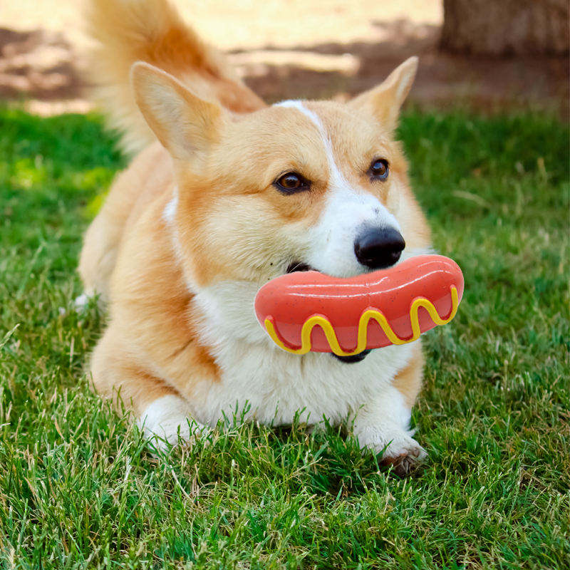 Dog Accessories Tough Pet Chew Toys, Hot Dog Shape TPR Material Pet Chews Toys Squeaky Rubber Dog Toy for Stimulating Pet Dental