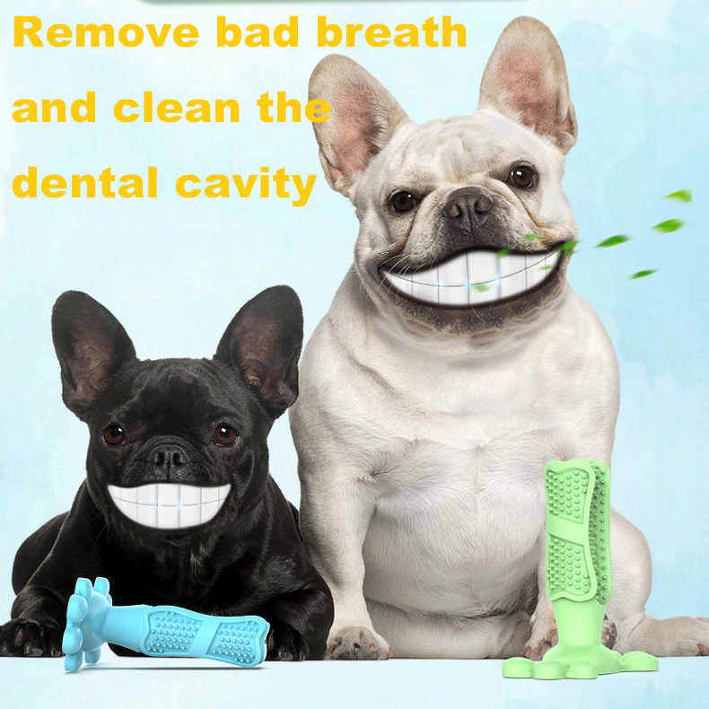 New Model Classic Molar stick sucker dog toothbrush dog toy ball