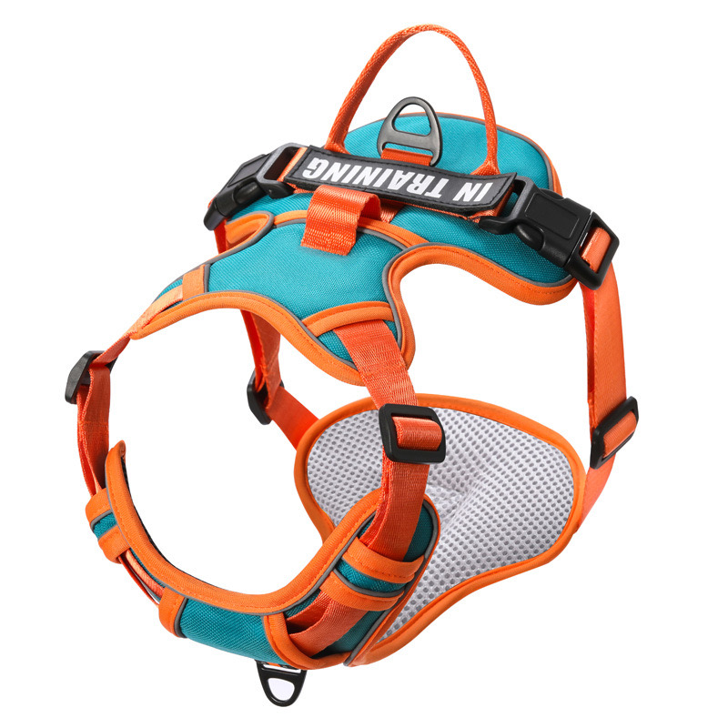 Durable Mesh Canine Harness with Quick Release Clasp - Ideal for Pets