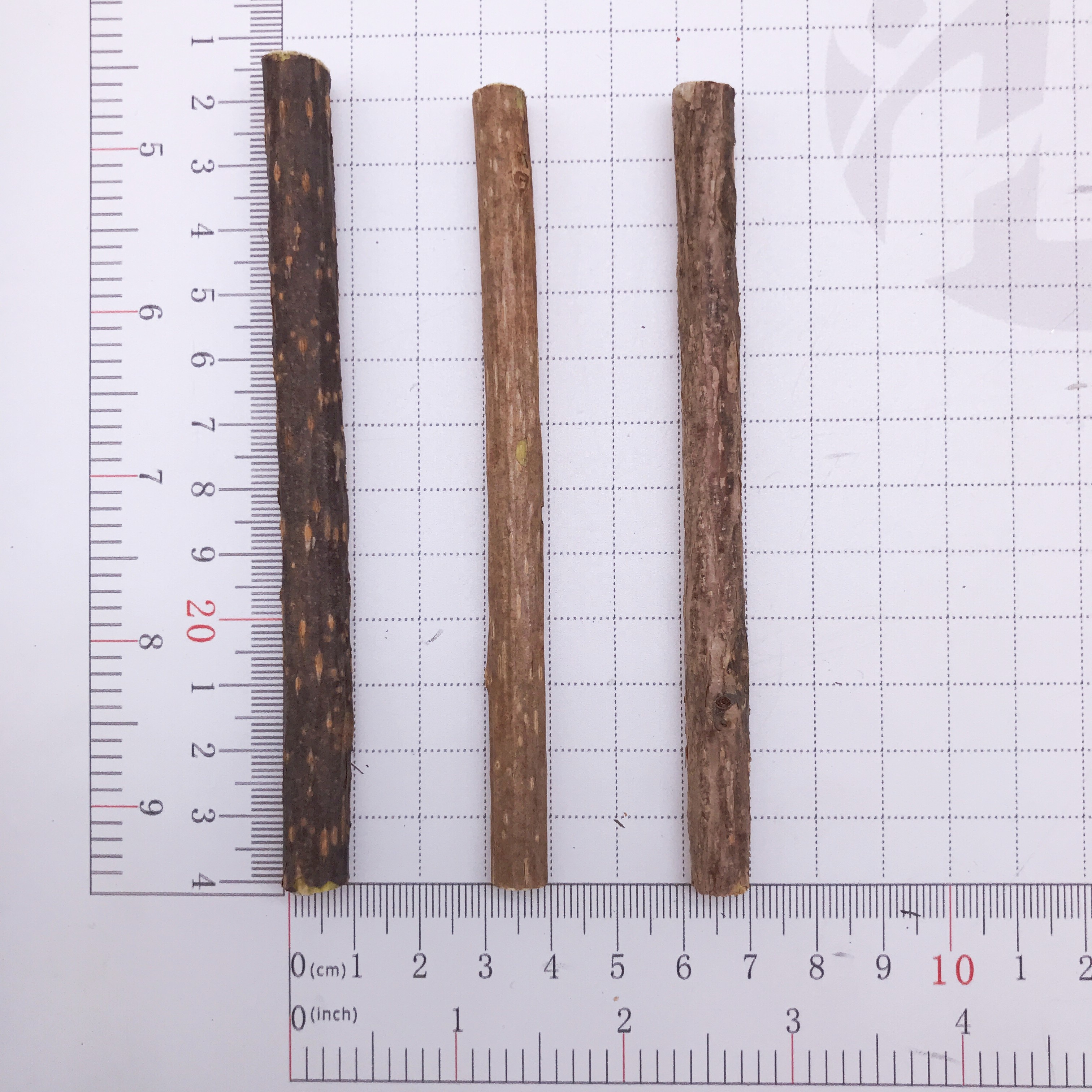 YHC08 Mu tian liao OEM wholesale dia 0.7-0.9cm cat chew silvervine sticks Natural Pet Toys Actinidia Polygama Stick