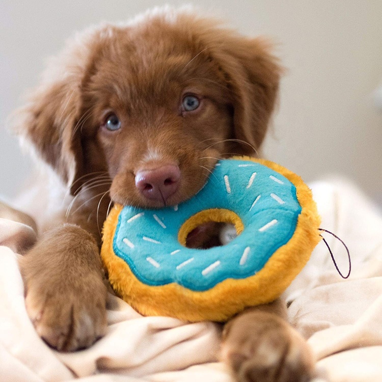 Hot Selling Dog Toy Pet Supplies No Stuffing Puppy Toy Squeaky Plush Dog Toy For Chewing