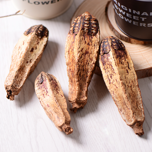 Yang Tao Guo Dried Whole Mahogany Fruit Mahogany Pods Natural Carambola Fruit Dried Averrhoa Fruit for Bird Food