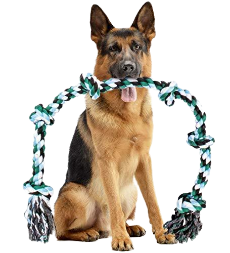 Environmentally friendly best-selling cotton rope gnash consumption dog endurance pet toys