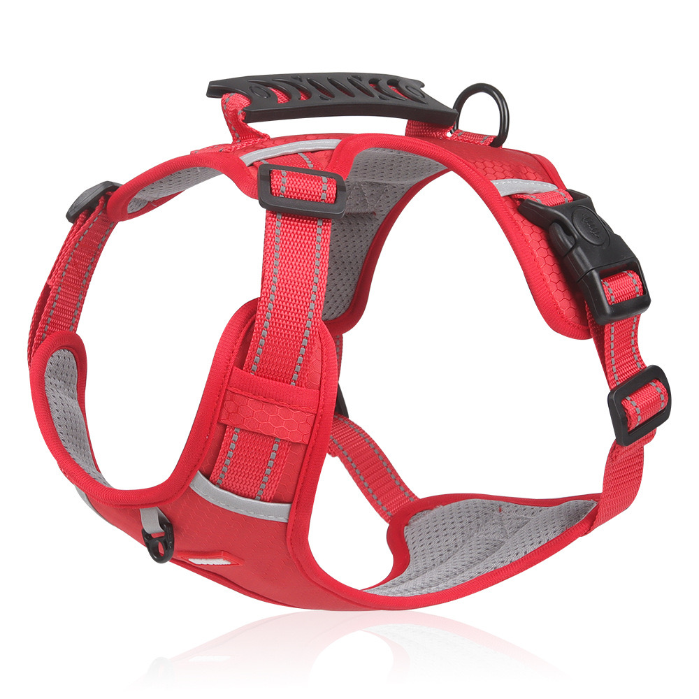 Adjustable Mesh Dog and Cat Harness Set Safe Walk System with Removable Leash Included