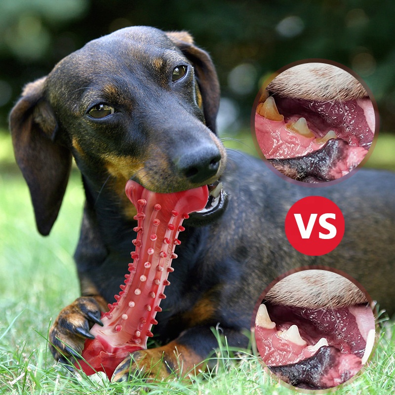 drop shipping natural rubber pet dog toy interactive dog outdoor toy cleaning teeth dog chew bone toy
