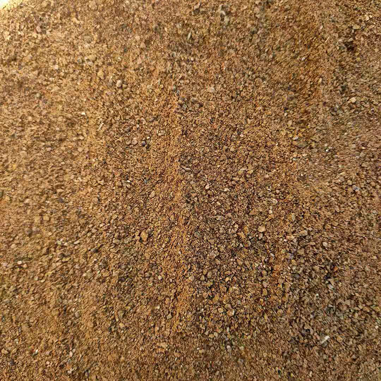 Wholesale Matatabi Gall Fruit Actinidia Polygama Silvervine Powder from Dried Fruit Galls