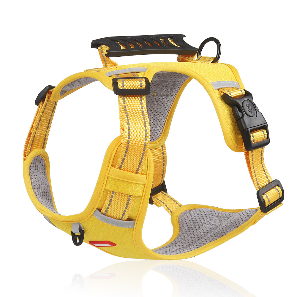 Adjustable Mesh Dog and Cat Harness Set Safe Walk System with Removable Leash Included