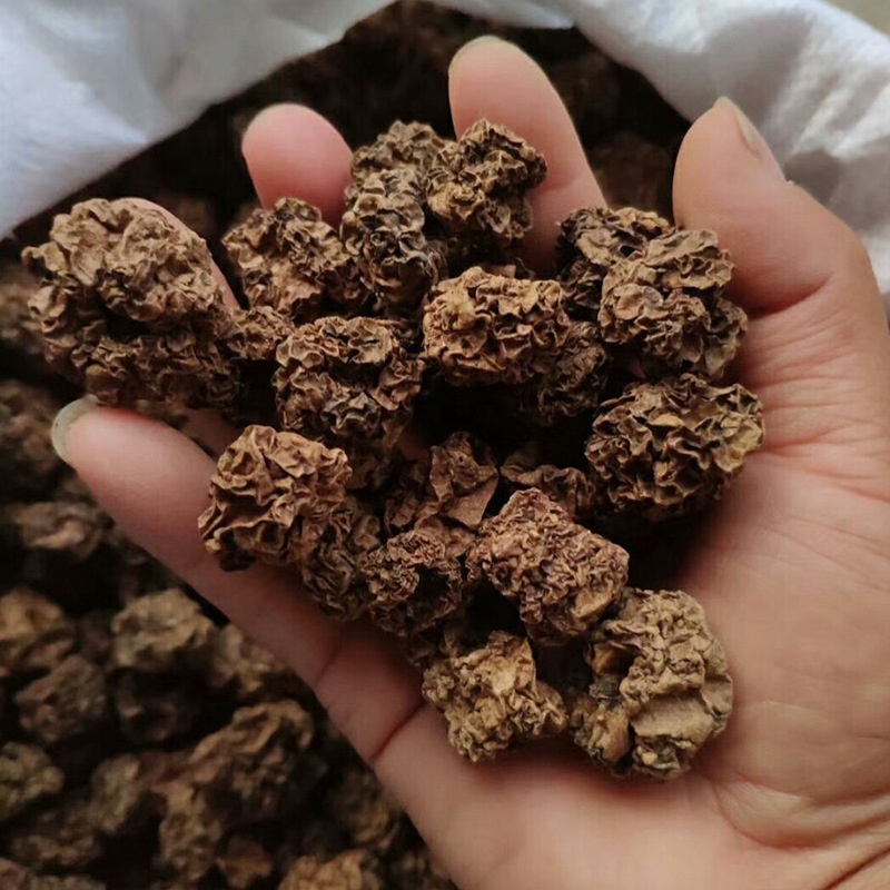 YHC09 Chong ying guo Wholesale bulk dried Fruits Actinidia polygama Matatabi Silvervine Fruit insect gall for cat chew