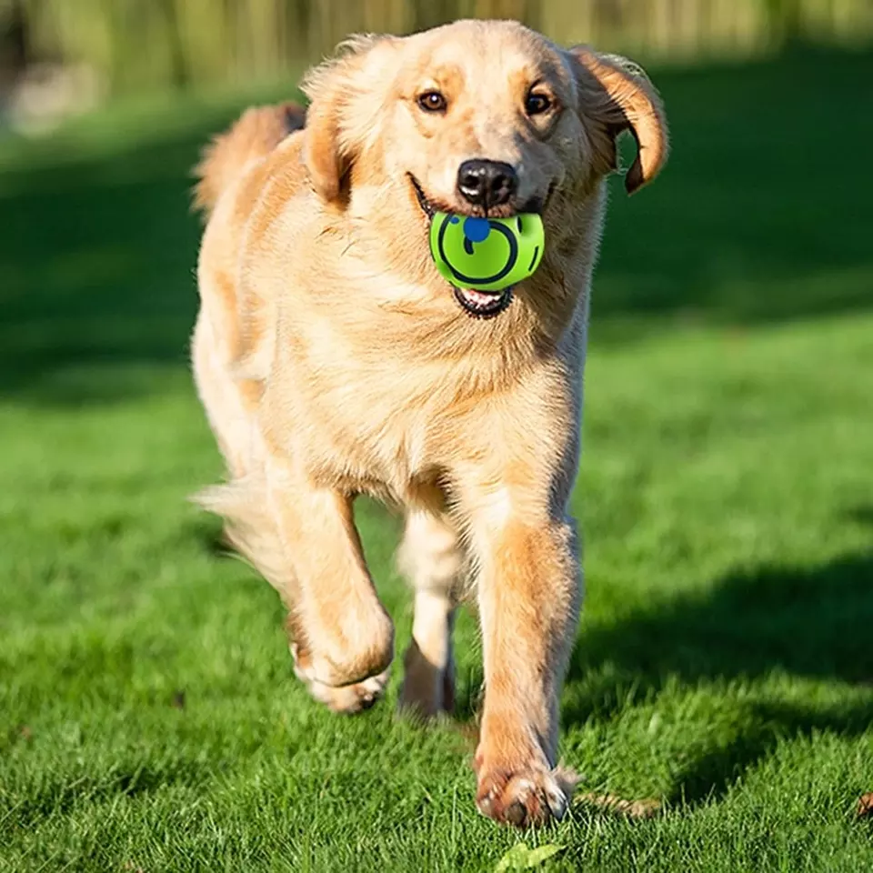 Chew Toy giggling balls interactive dog toys funny laughter while rolling or shaking pet toy ball