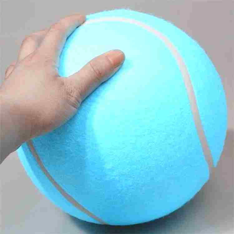 2019 cheapest pet dog toy