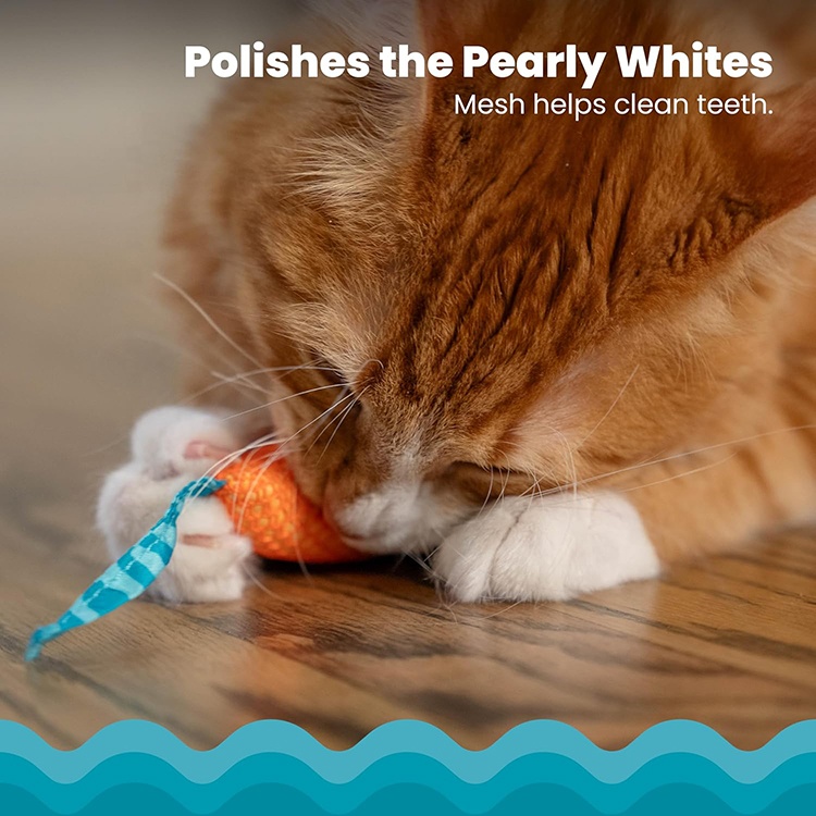 Popular Pet Toy Cat Accessories Kitten Chew Toy Pet Supplies Cat Toy Mouse For Interactive Playing
