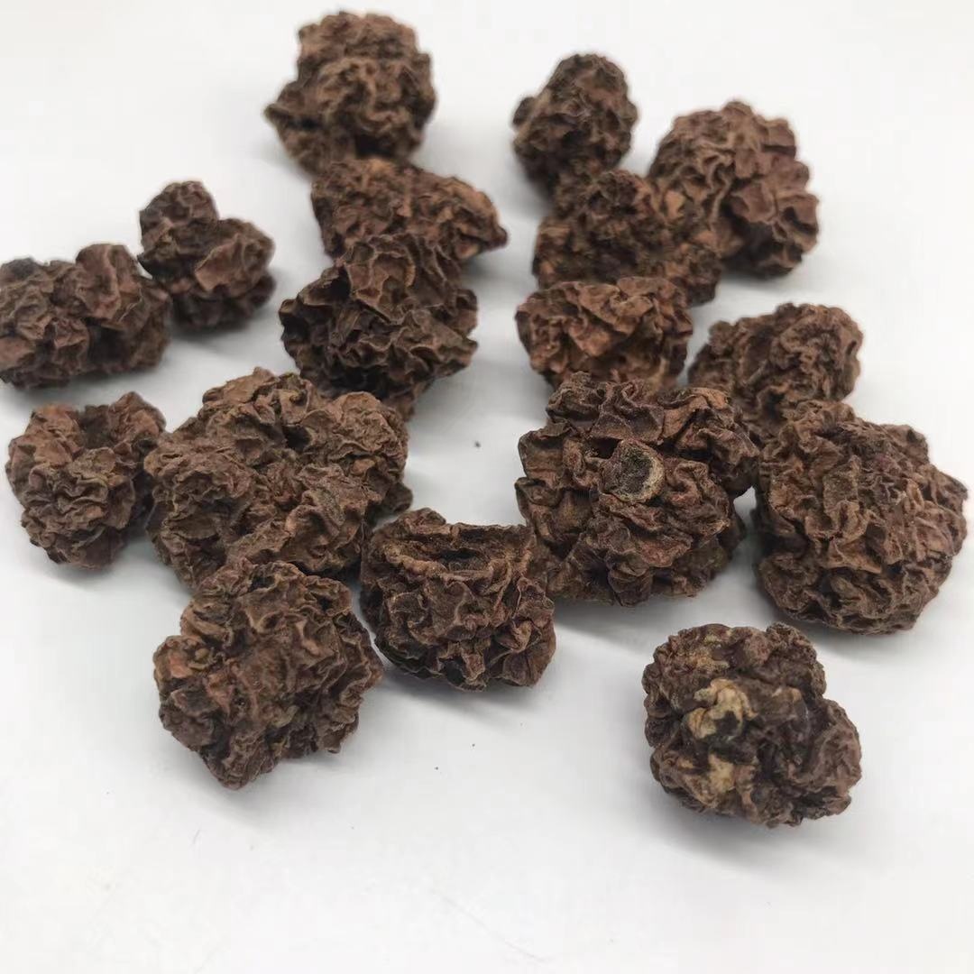 YHC09 Chong ying guo Wholesale bulk dried Fruits Actinidia polygama Matatabi Silvervine Fruit insect gall for cat chew