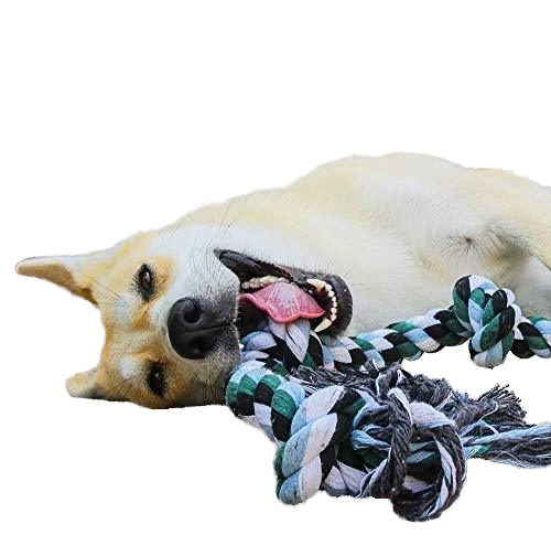 Environmentally friendly best-selling cotton rope gnash consumption dog endurance pet toys