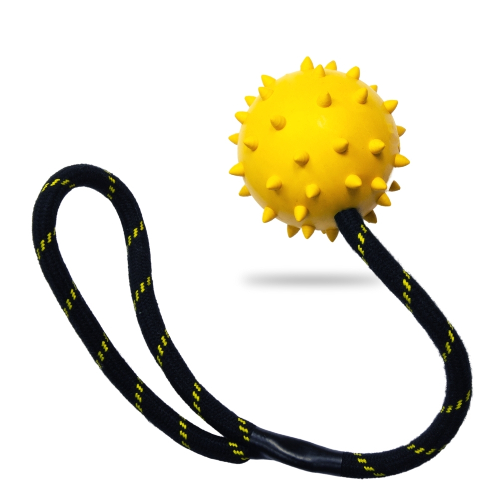 Dog Toy Chew Toy Hot Selling Dog Spiky Rope Ball Chew Toy