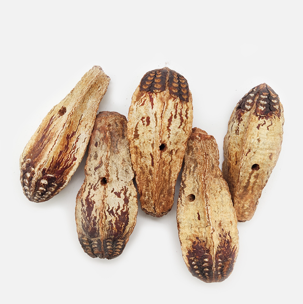 Yang Tao Guo Dried Whole Mahogany Fruit Mahogany Pods Natural Carambola Fruit Dried Averrhoa Fruit for Bird Food