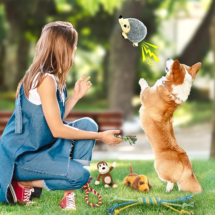 12 Pack Puppy Toys Dog Squeaky Toys Dog Accessories Stuffed Plush Dog Toy For Teething And Playing