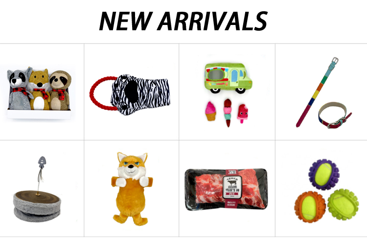 Wholesale Custom Eco Friendly Iq Training Rubber Plush Squeak Rope Interactive Toy Dog Chew Pet Toys
