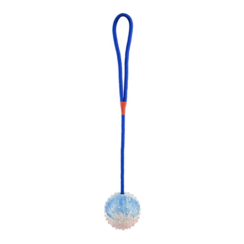 Pet Dog Training Ball Toys with Rope Naturel Rubber Ball Toy for Dog Tooth Clean Play Chew Exercise Toy