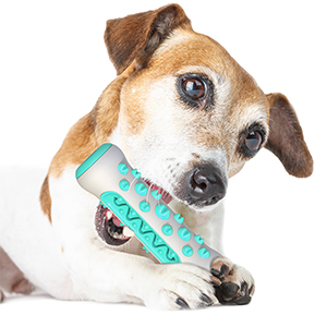 Pingshun medium and large dogs use Tough and durable New Bone Shaped Cleaning Teeth Dog Bite Toothbrush Pet Toys