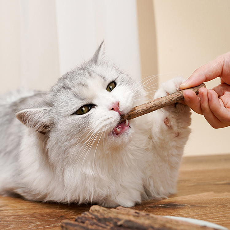 Hot sale dried actinidia polygama pet cat molar rod toy natural silvervine sticks