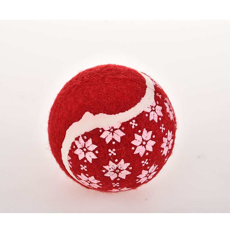Petstar Interactive Durable Pet Puppy Rope Ball Chew Christmas Gift Dog Toy Set