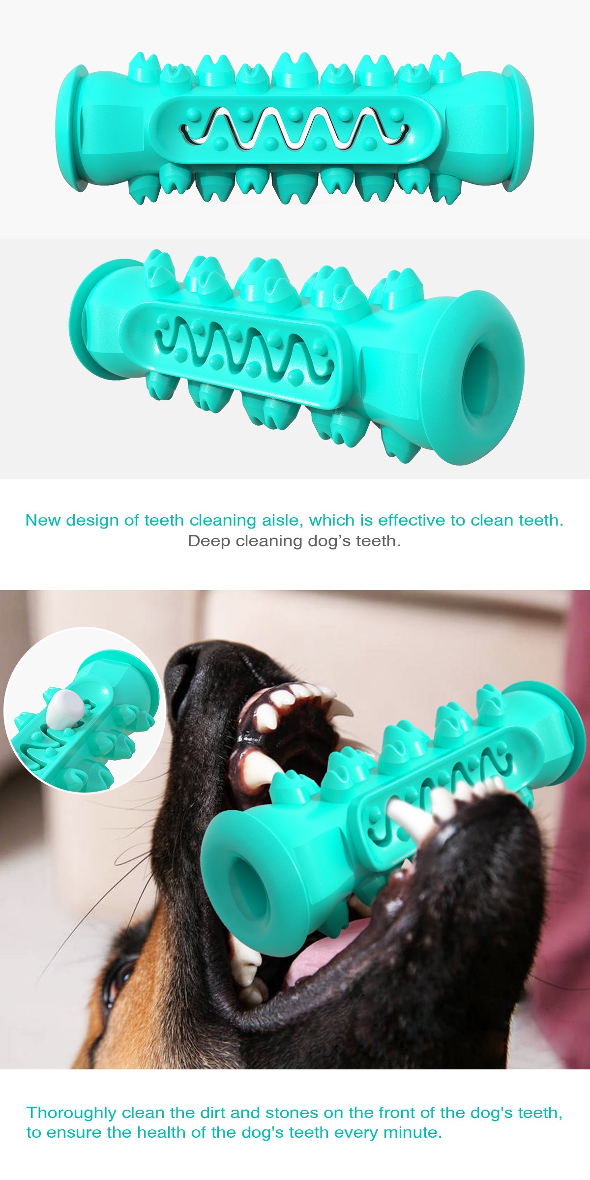 Manufacturer wholesale green blue yellow tpr clean teeth molar dog chew toy