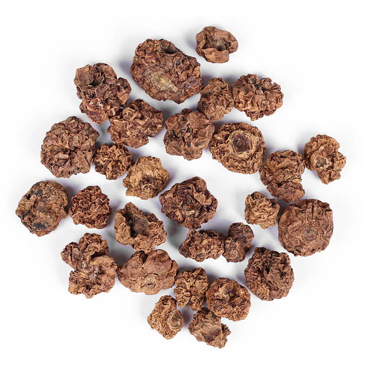 Stock Supply Natural Whole Actinidia Polygama Dried Fruits Matatabi Silvervine Gall Fruit