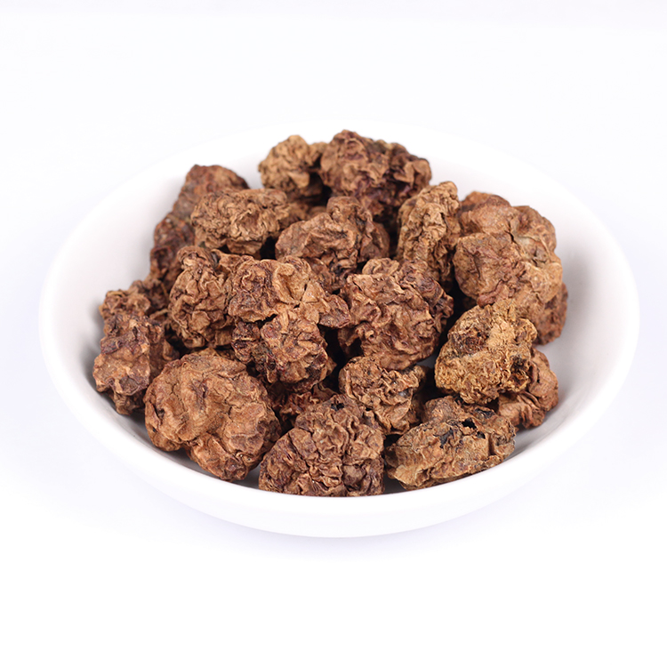 Wholesale Matatabi Gall Fruit Actinidia Polygama Silvervine Powder from Dried Fruit Galls