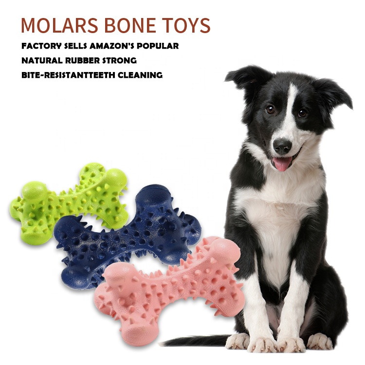 Amazon Hot Selling drop shipping Pet Toys Molar Spike Dog Bone Toys Pet Dog Chew Toys