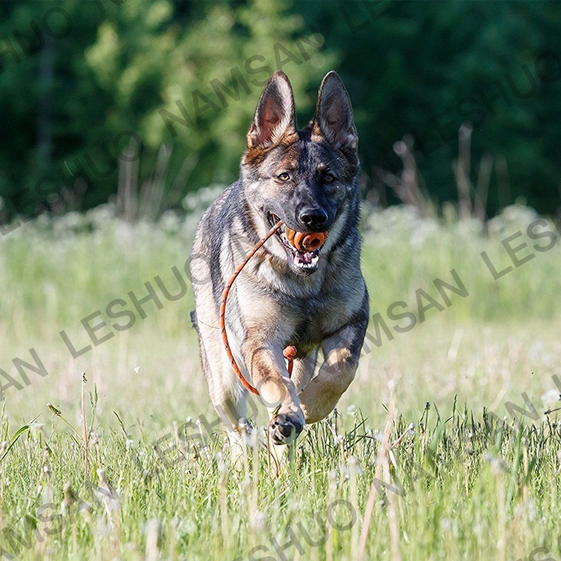 Rubber Dog Exercise and Training Ball Toy Pet Toothbrush Toy Dog Chew Ball Toy with Rope