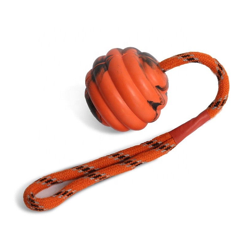 Rubber Dog Exercise and Training Ball Toy Pet Toothbrush Toy Dog Chew Ball Toy with Rope