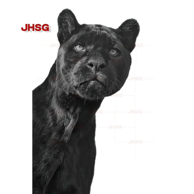 Mysterious Sticker JHSG Car Black Panther Beast Personality Self-Adhesive Paper Suitable for Various Vehicles Home Decor PVC smile