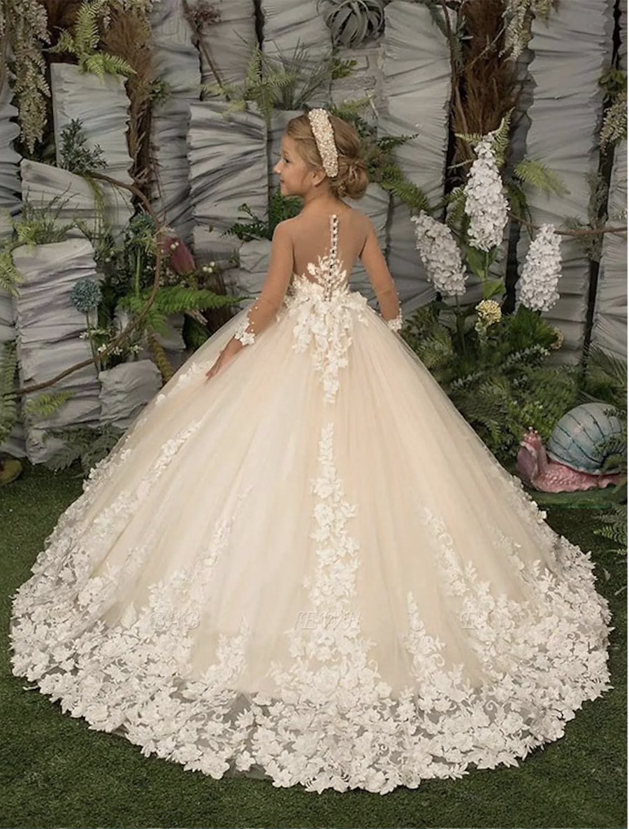 Girls Glitz Pageant Dresses Brush Cute Toddler Ball Gown Beads Crystals Wers Feather Pearls Applique Wer Girl Dress