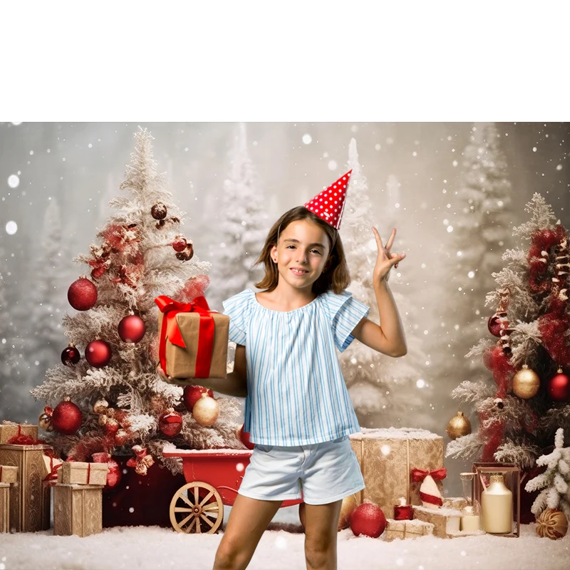 Bonvvie Christmas Photography Backdrop new Winter Window Gift Baby Portrait Photographic Family 2025 Party Background for Photo Studio